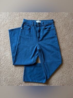 Everlane Way High Jean 27 Bright Blue High Rise Straight Leg Clean Denim RARE